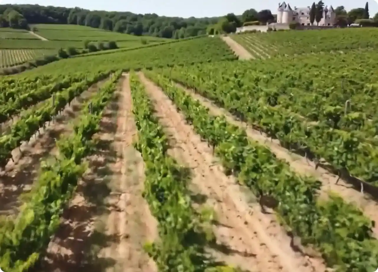 image de couverture pour notre concept