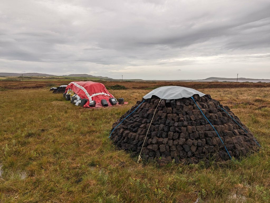 Whisky tourbé définition et décryptage